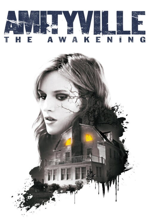 Amityville: Uyanış